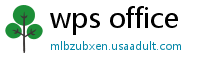 wps office